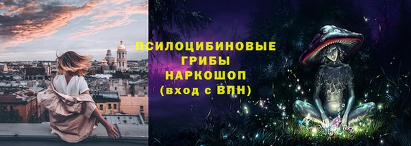 ГАЛЛЮЦИНОГЕННЫЕ ГРИБЫ Алзамай